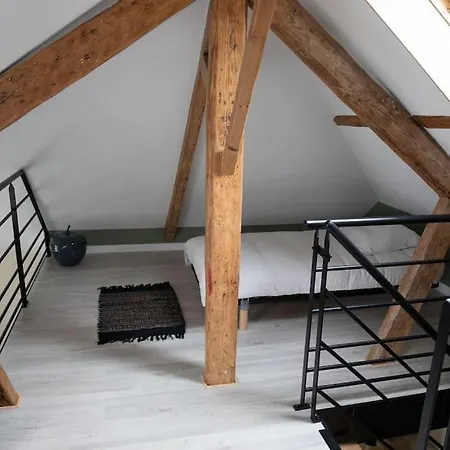 Avec En Mezzanine Appartement *
