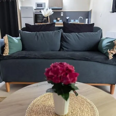 Avec En Mezzanine Appartement *