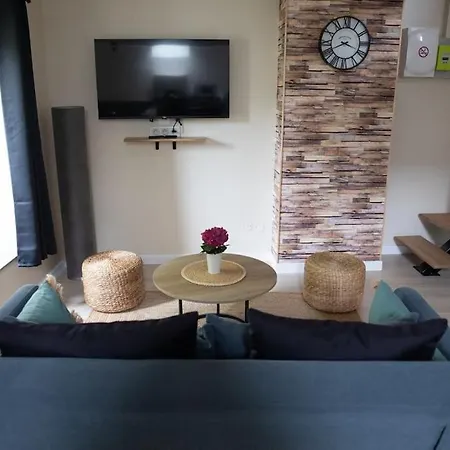 Avec En Mezzanine Appartement